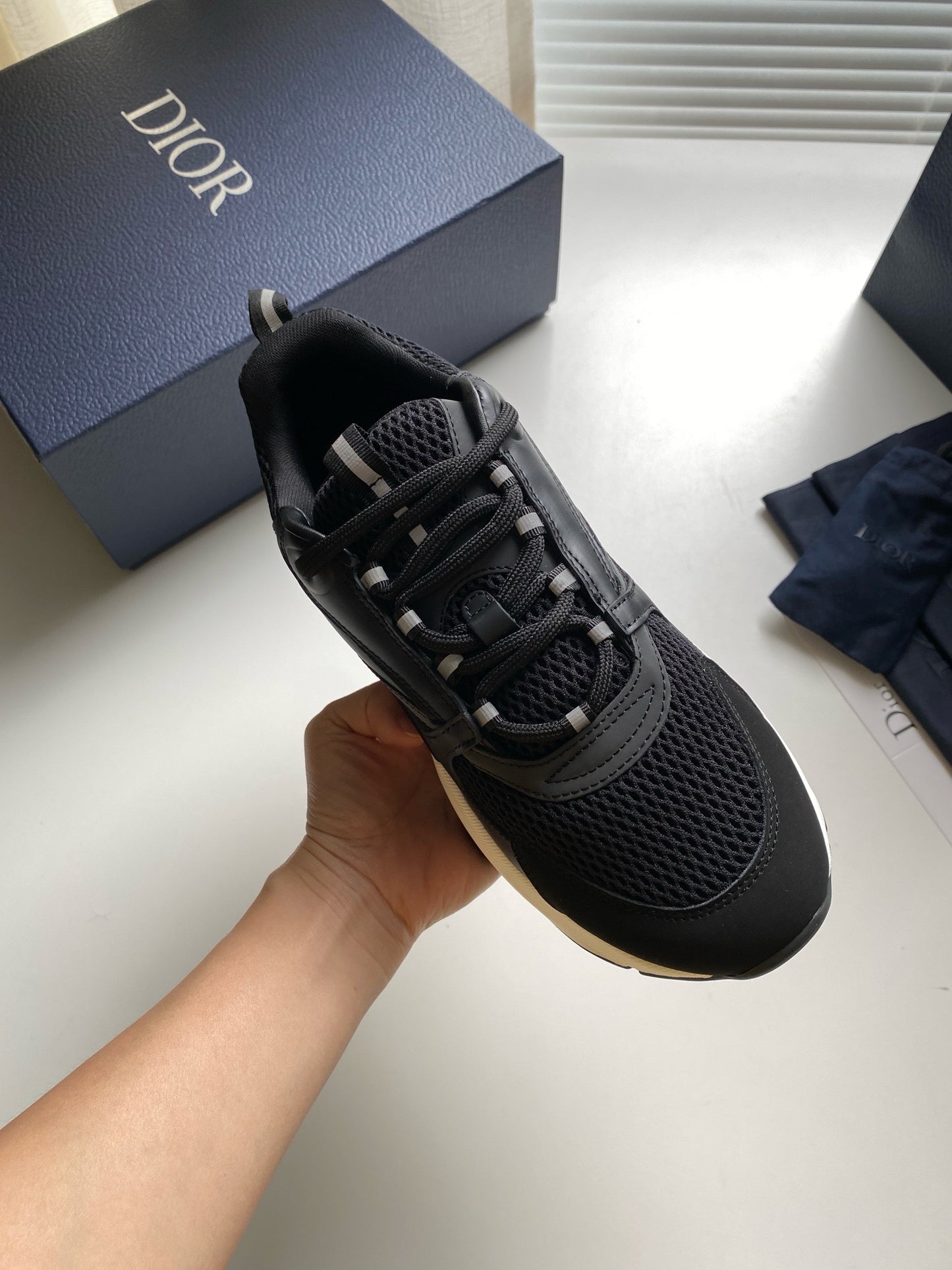 Dior B22
