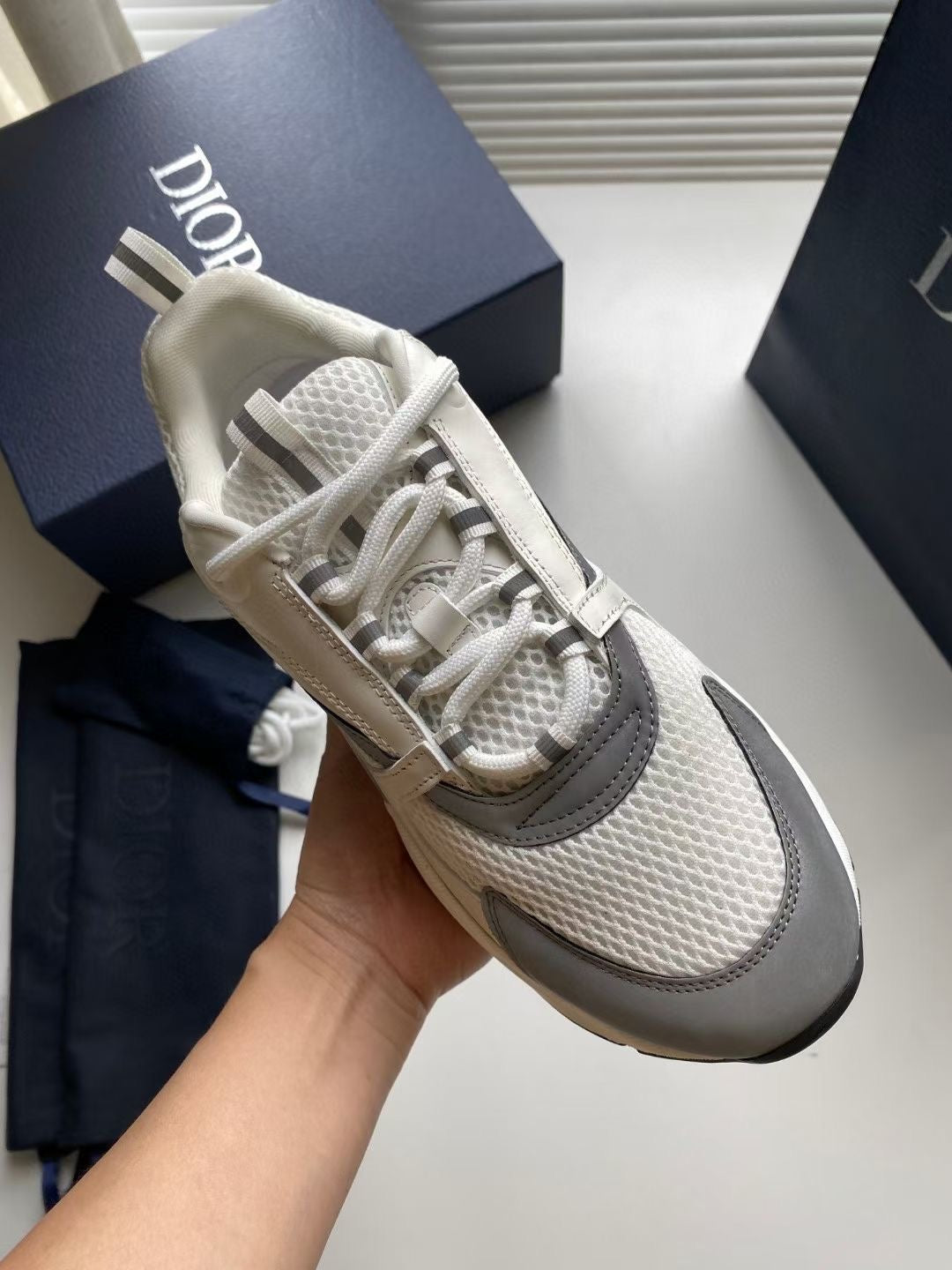 Dior B22