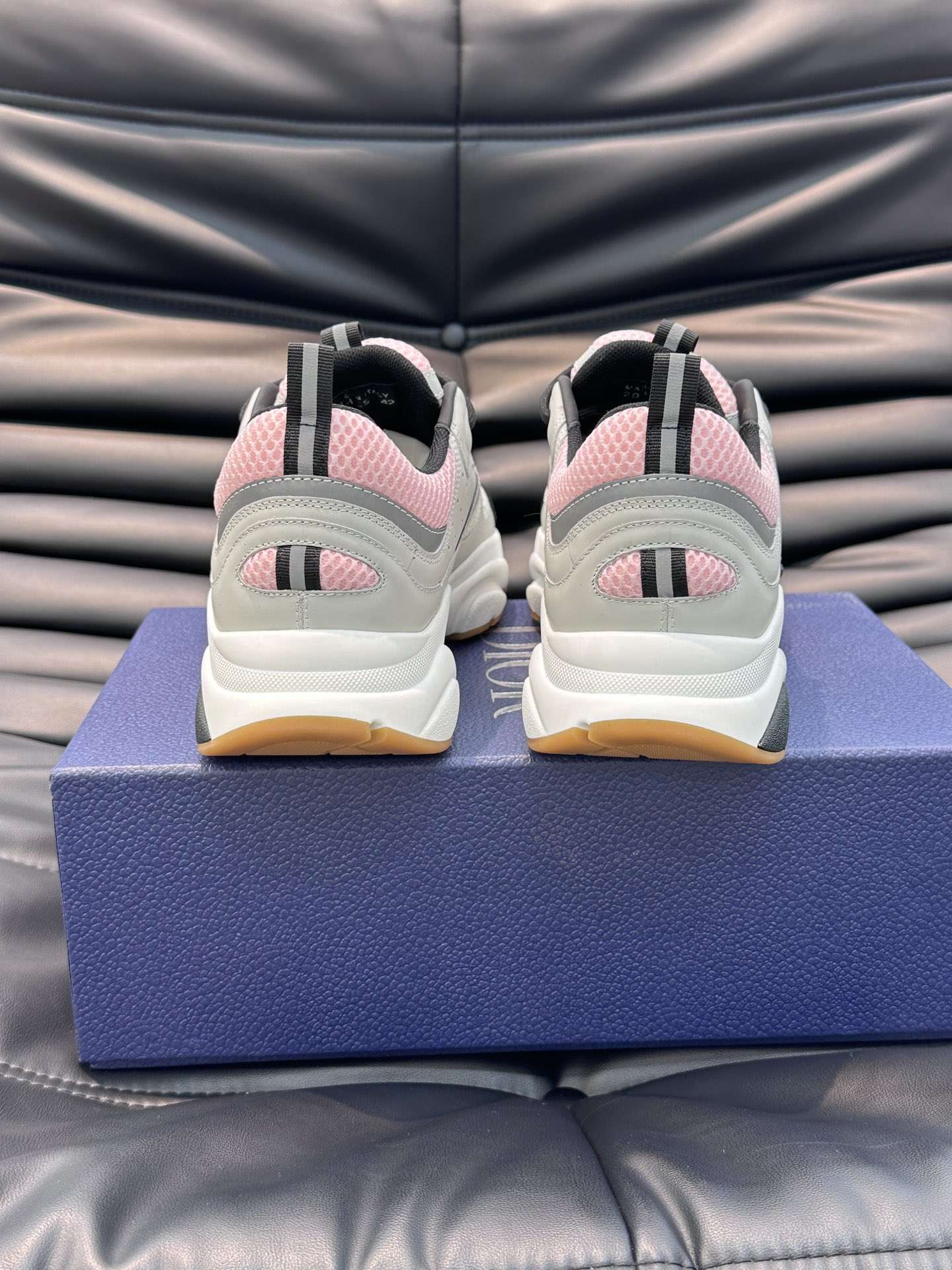 Dior B22