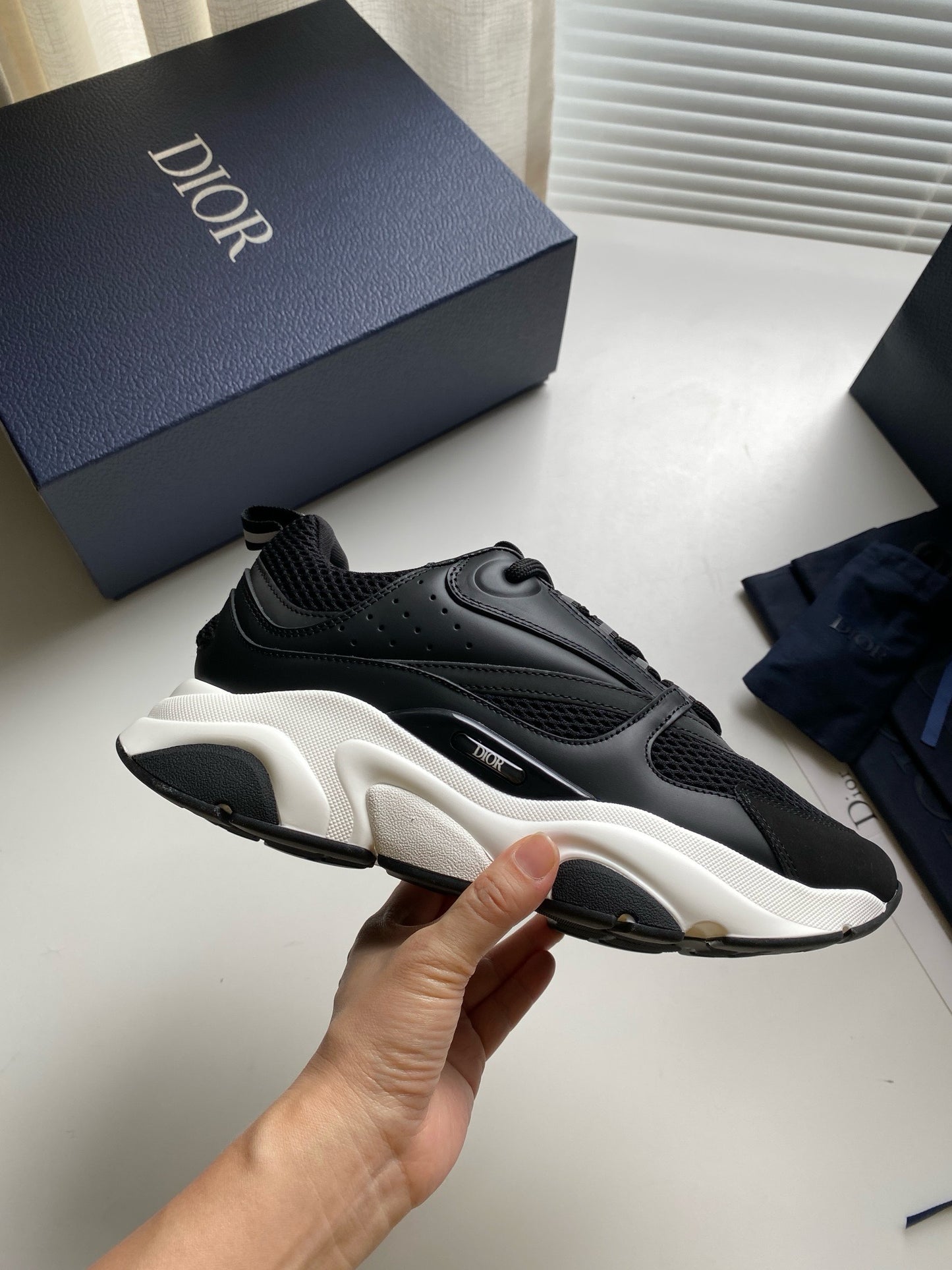 Dior B22