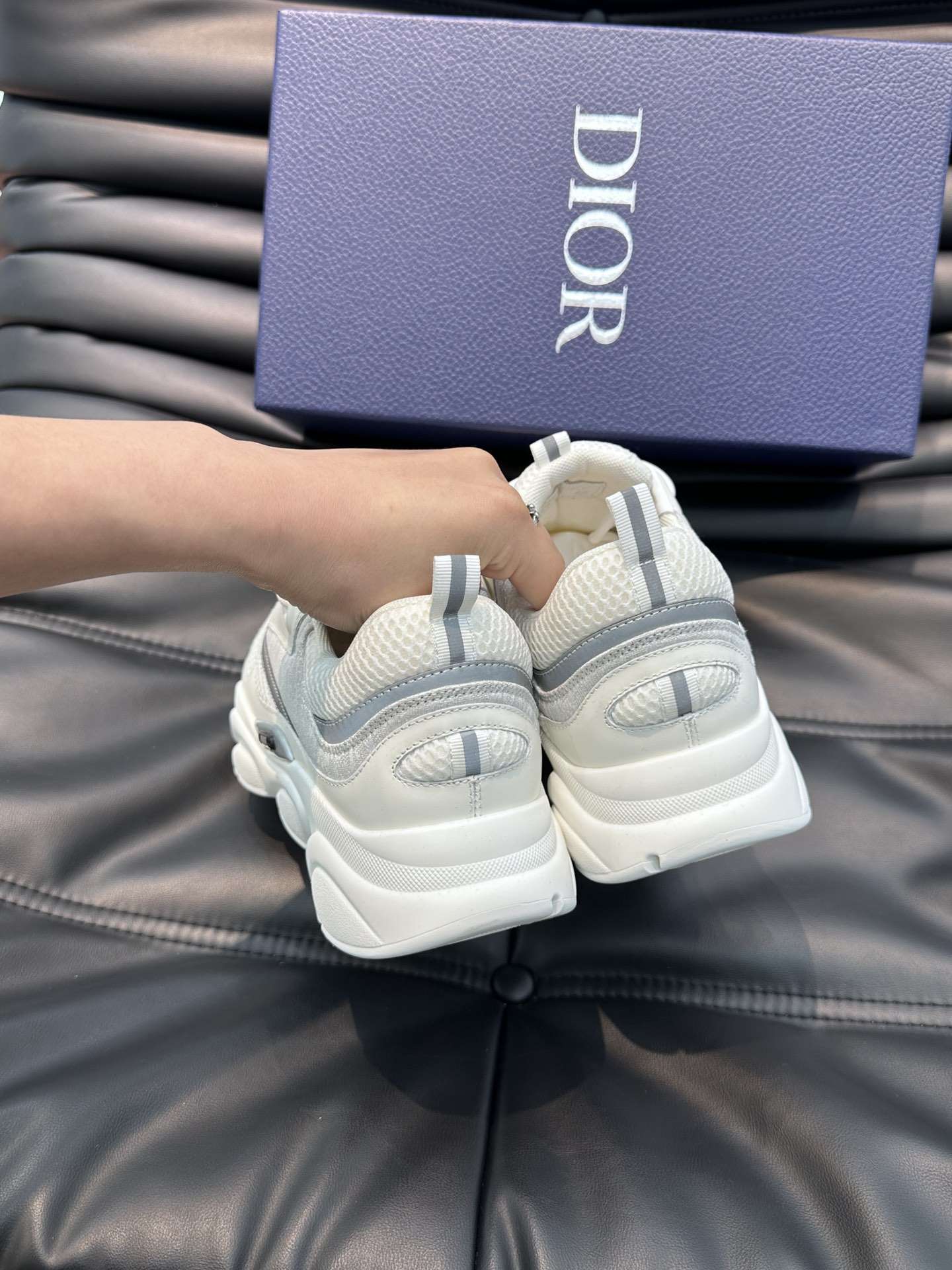 Dior B22