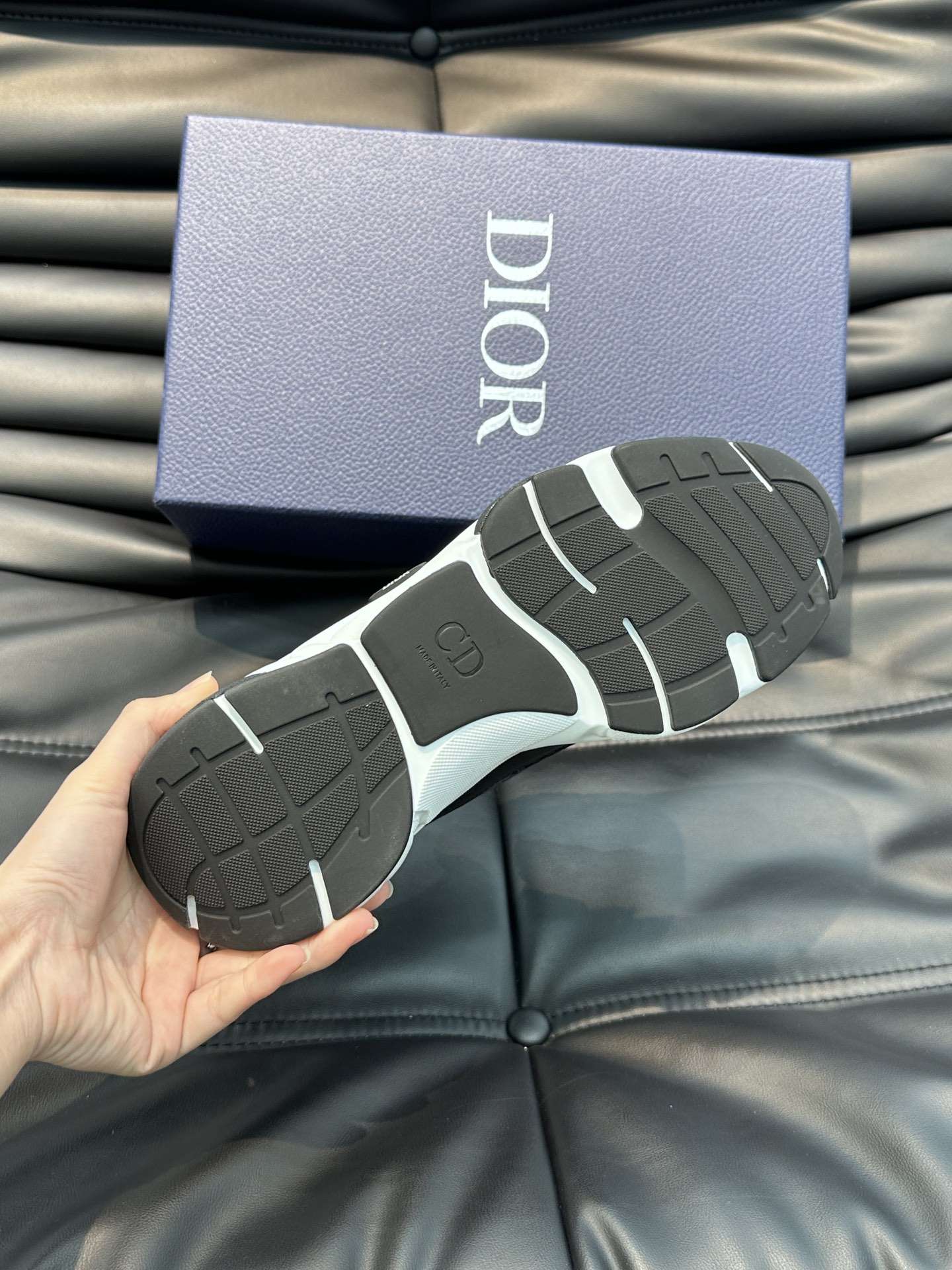 Dior B22