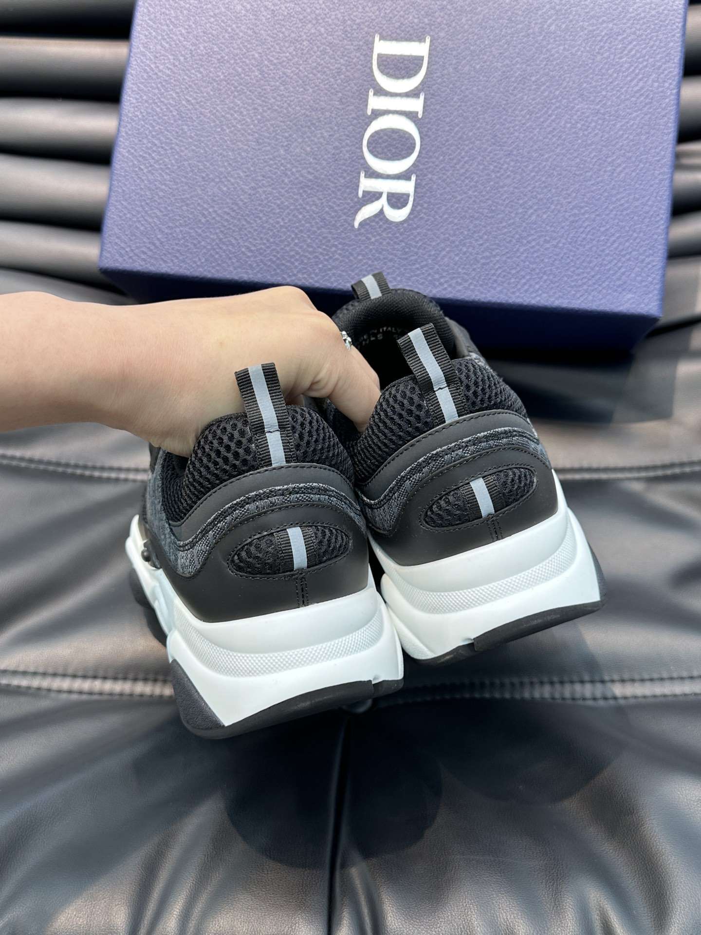 Dior B22