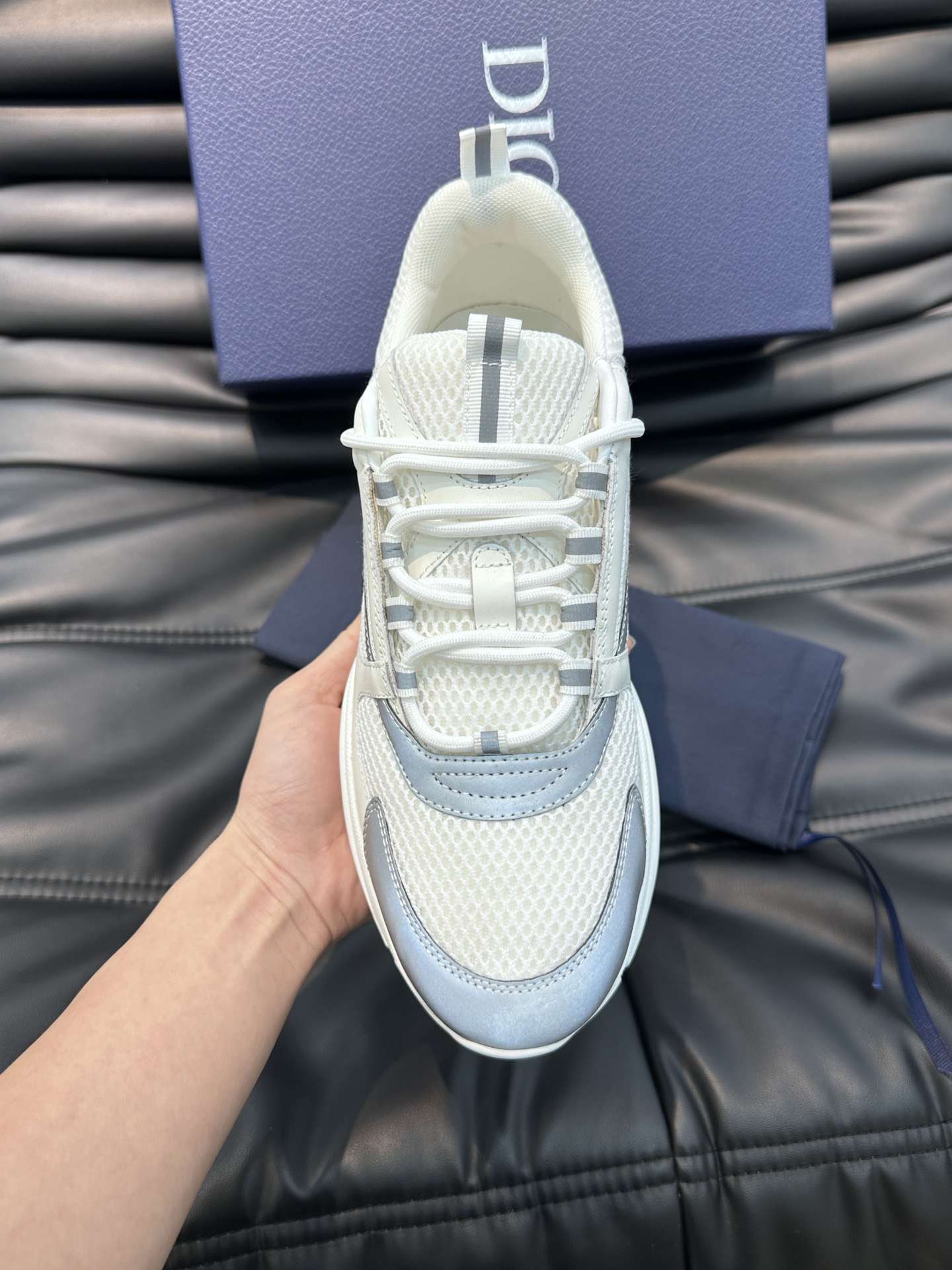 Dior B22