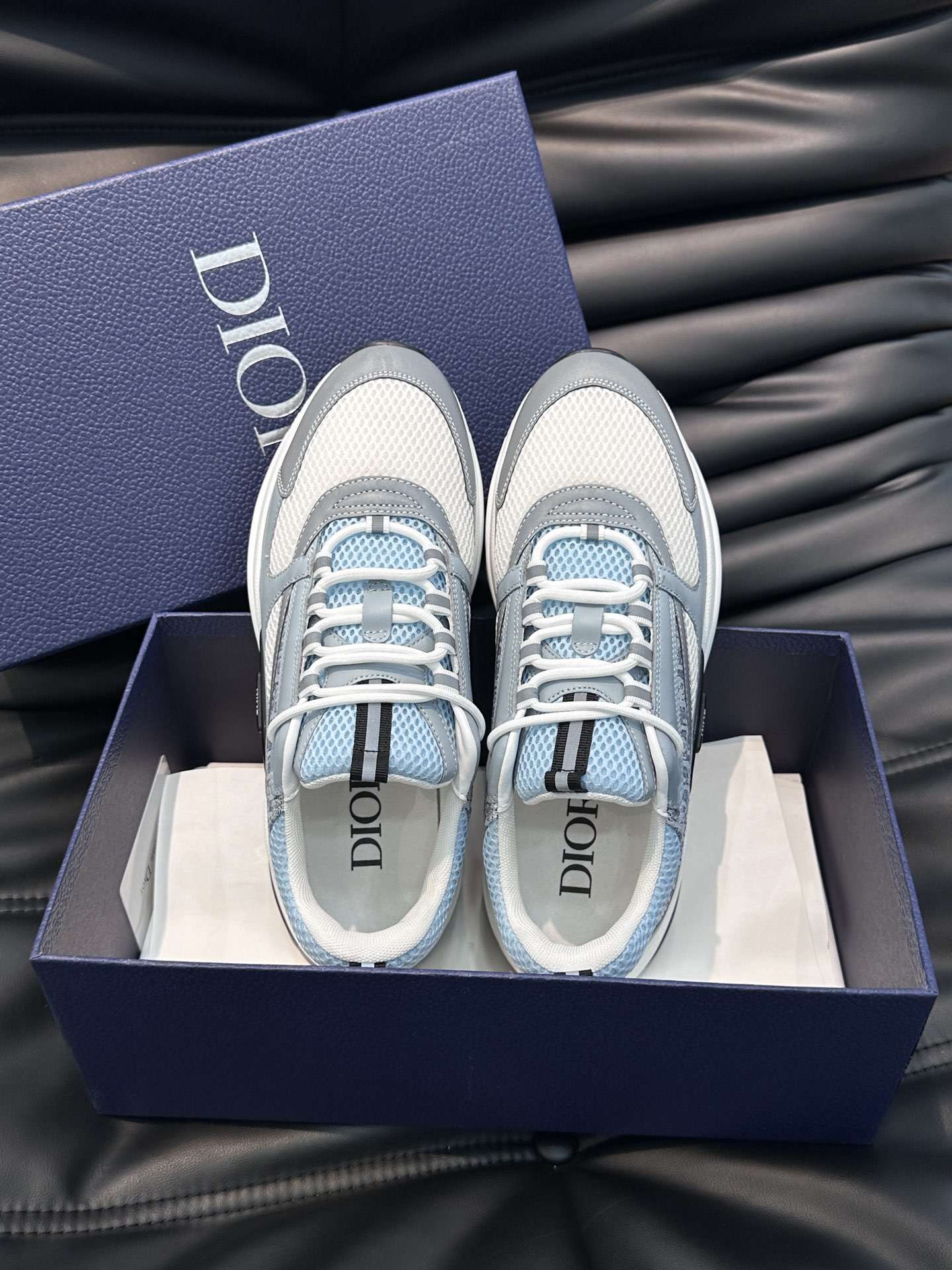 Dior B22