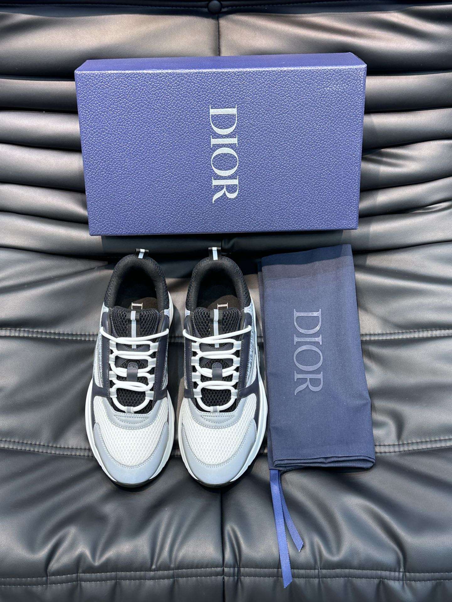 Dior B22