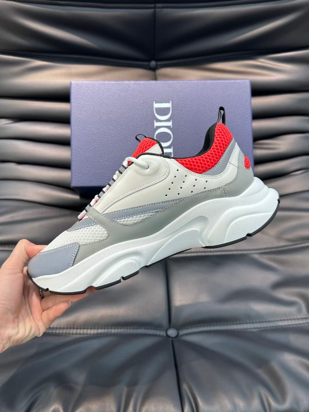 Dior B22