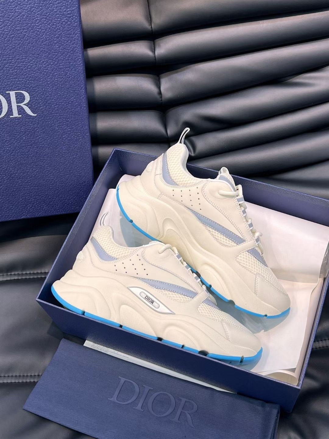 Dior B22