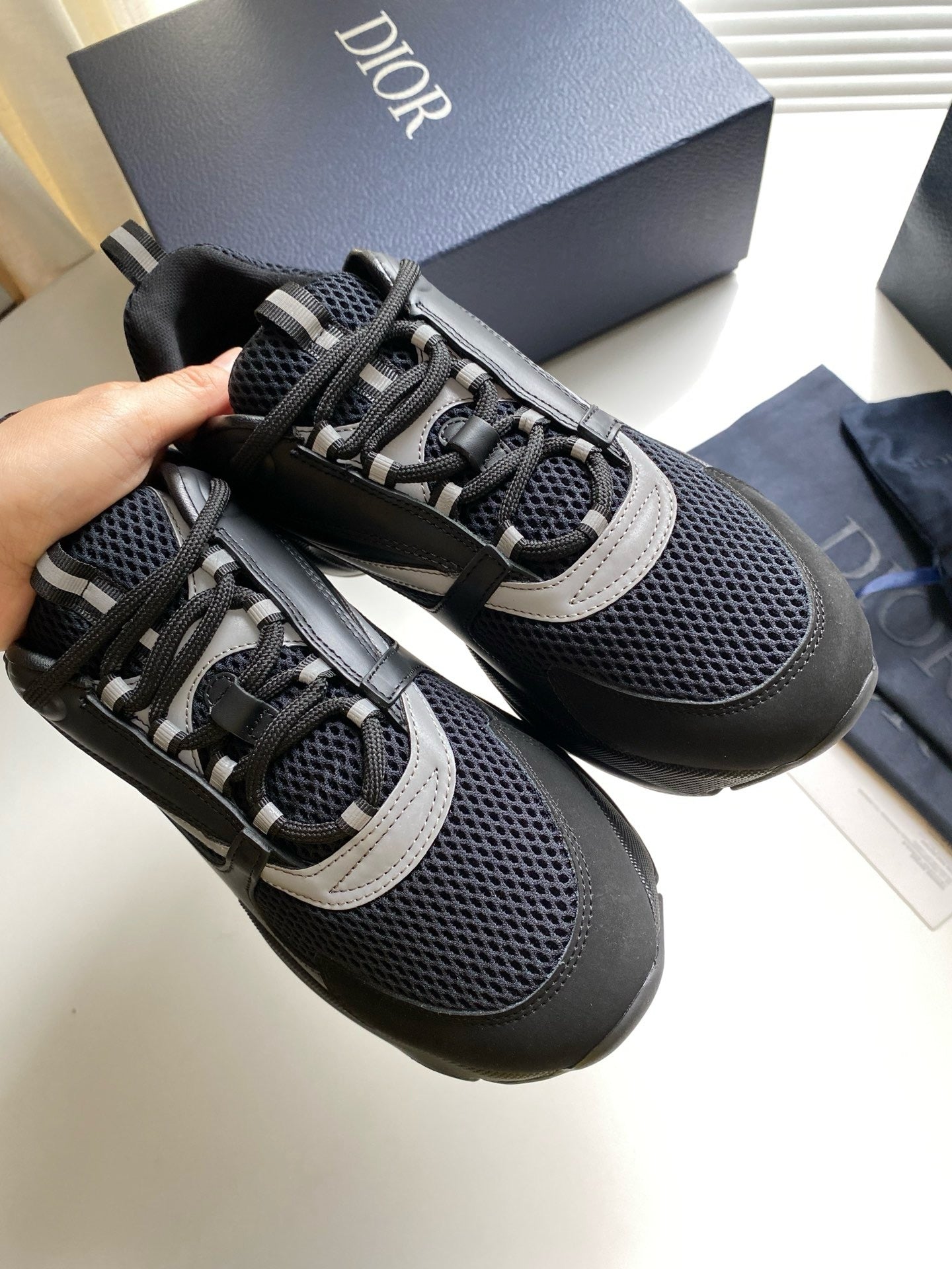 Dior B22