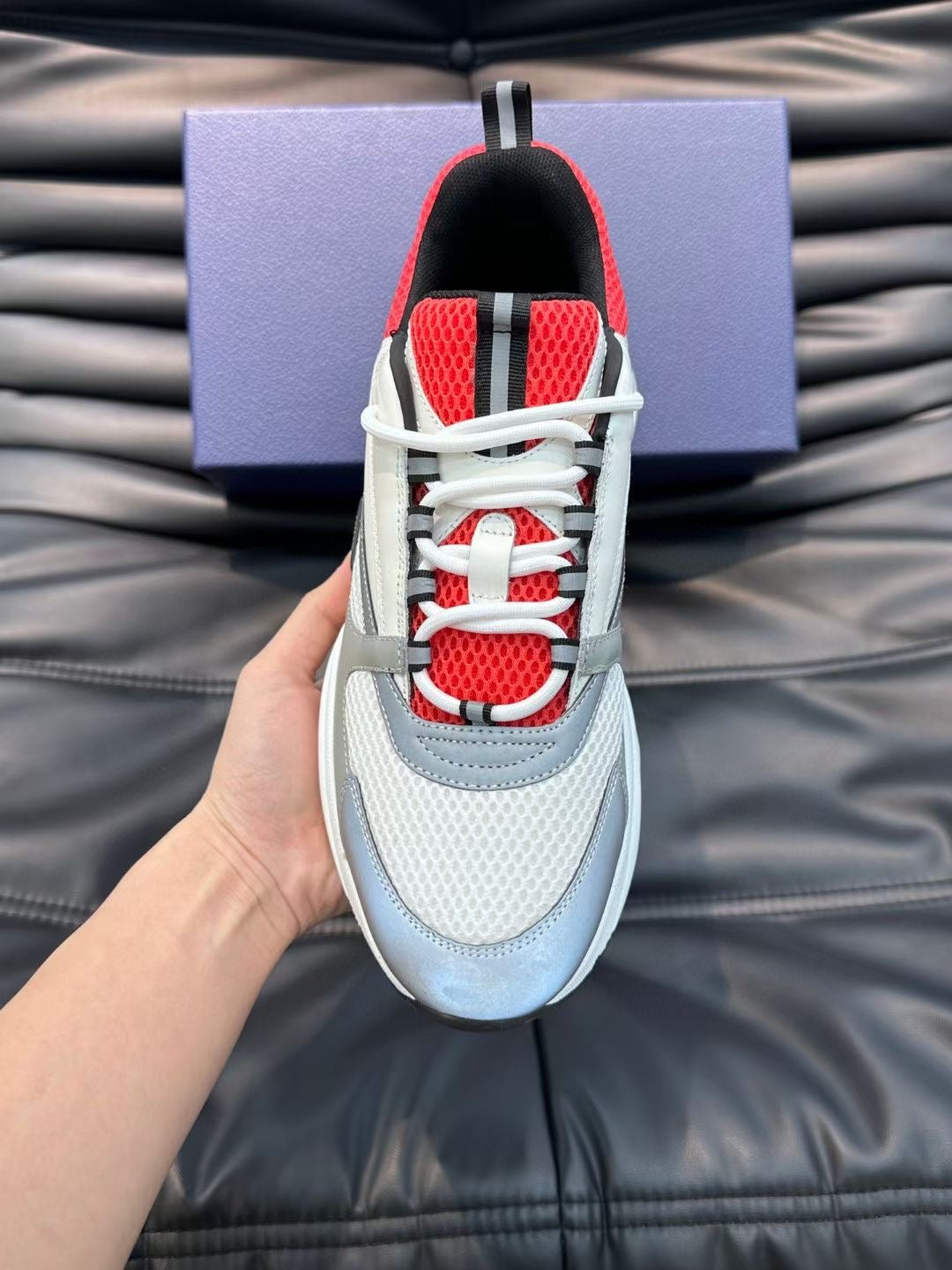 Dior B22