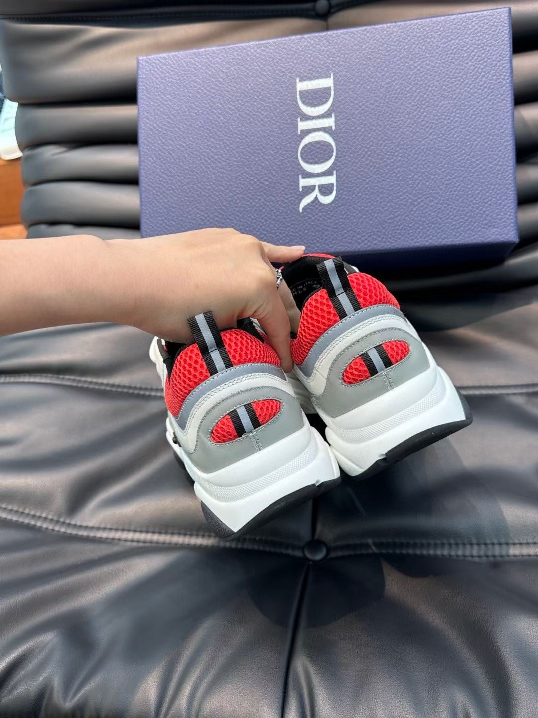 Dior B22