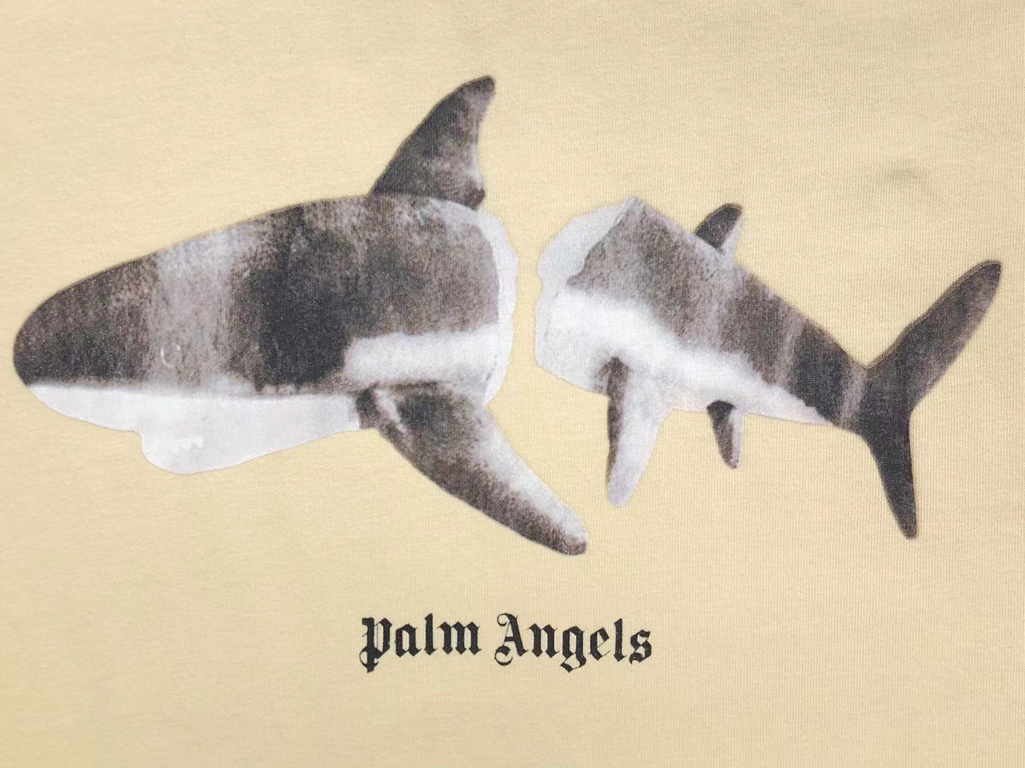 T-shirt Palm Angels