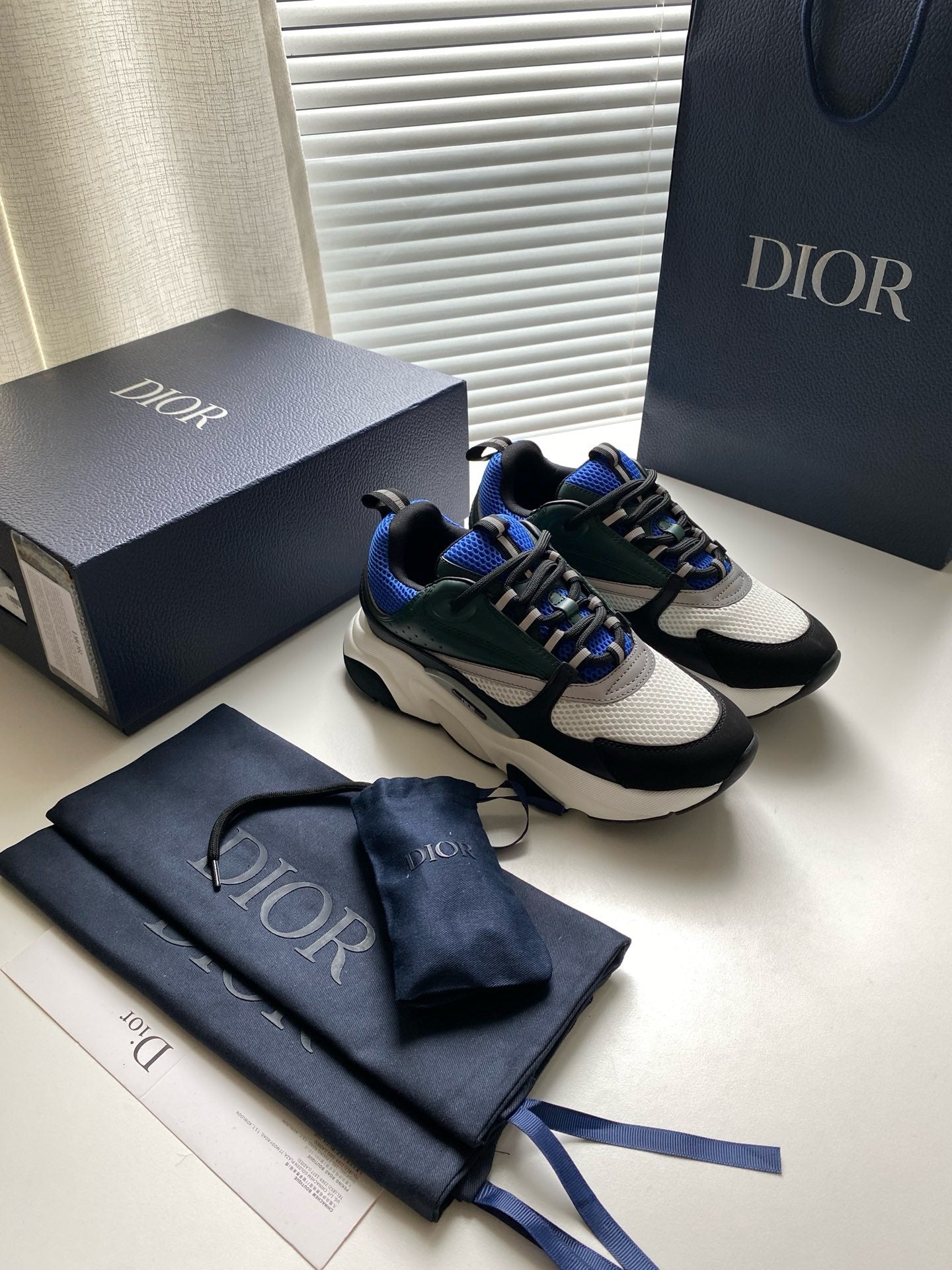 Dior B22