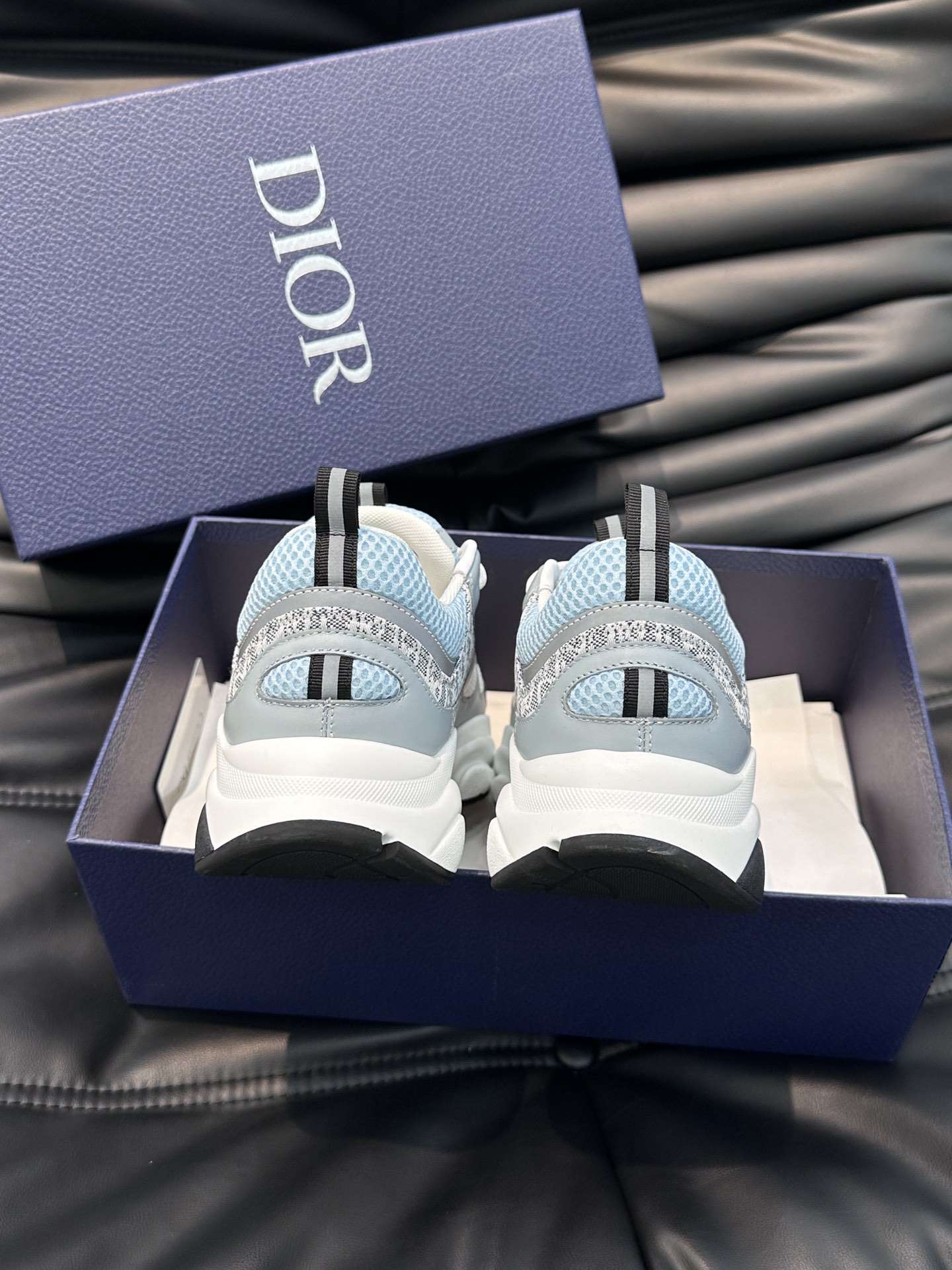 Dior B22