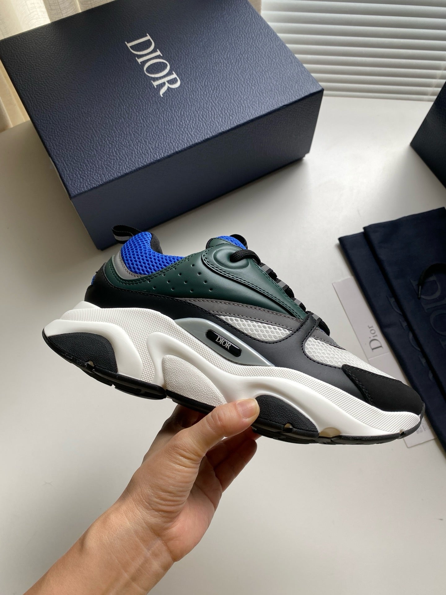 Dior B22