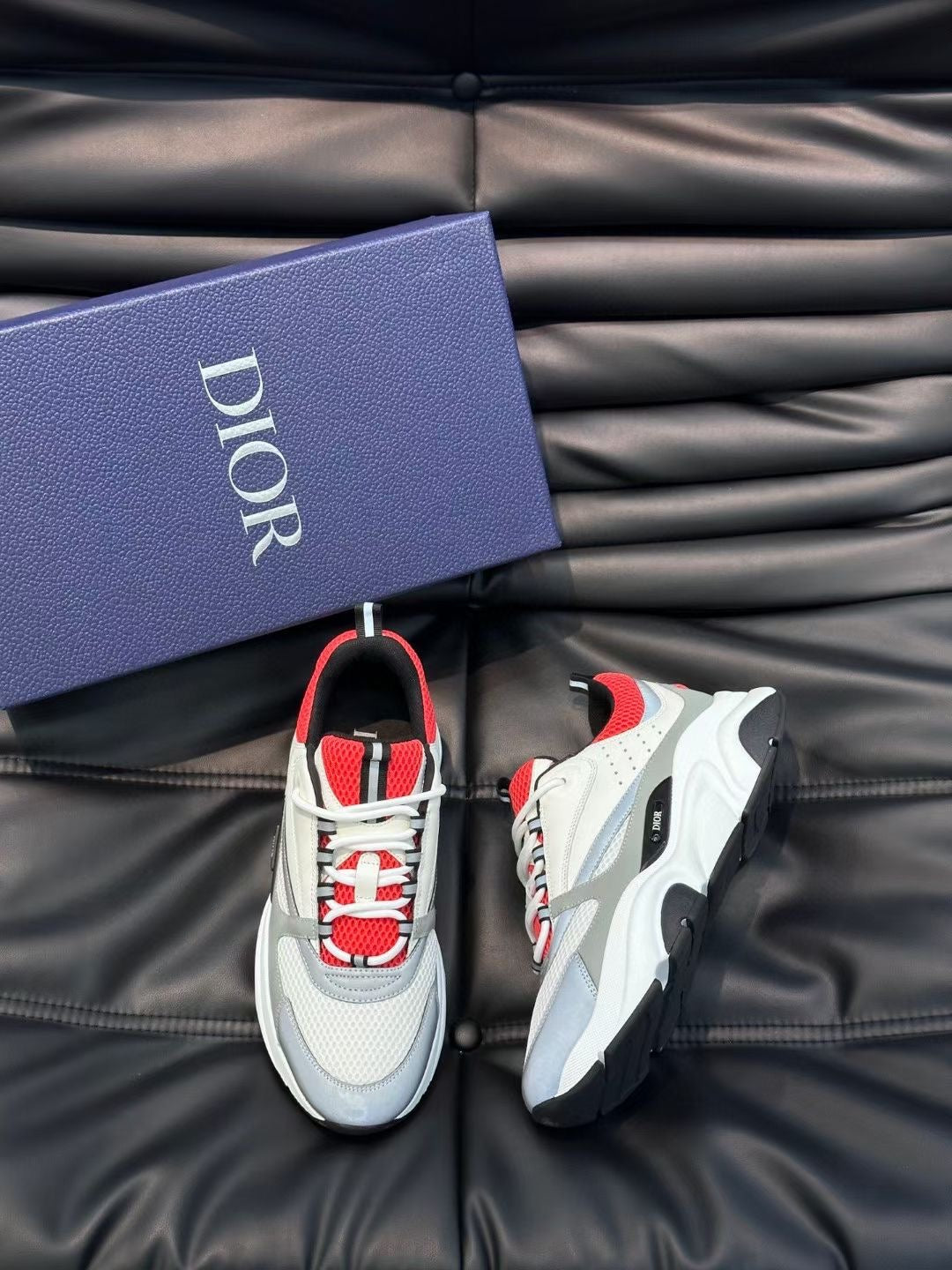 Dior B22