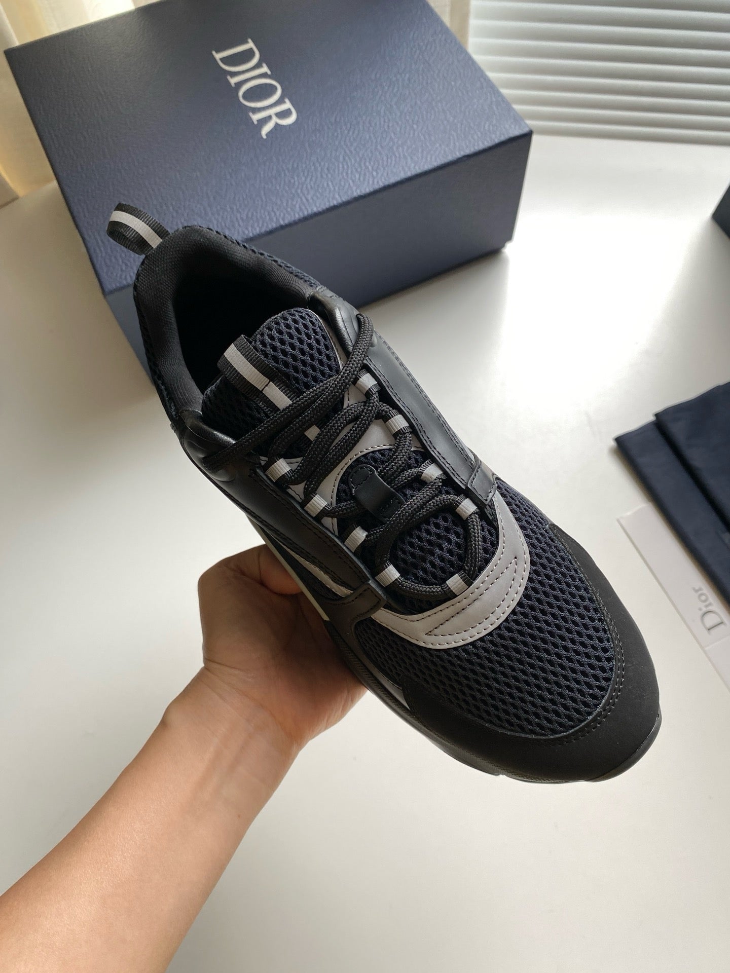 Dior B22