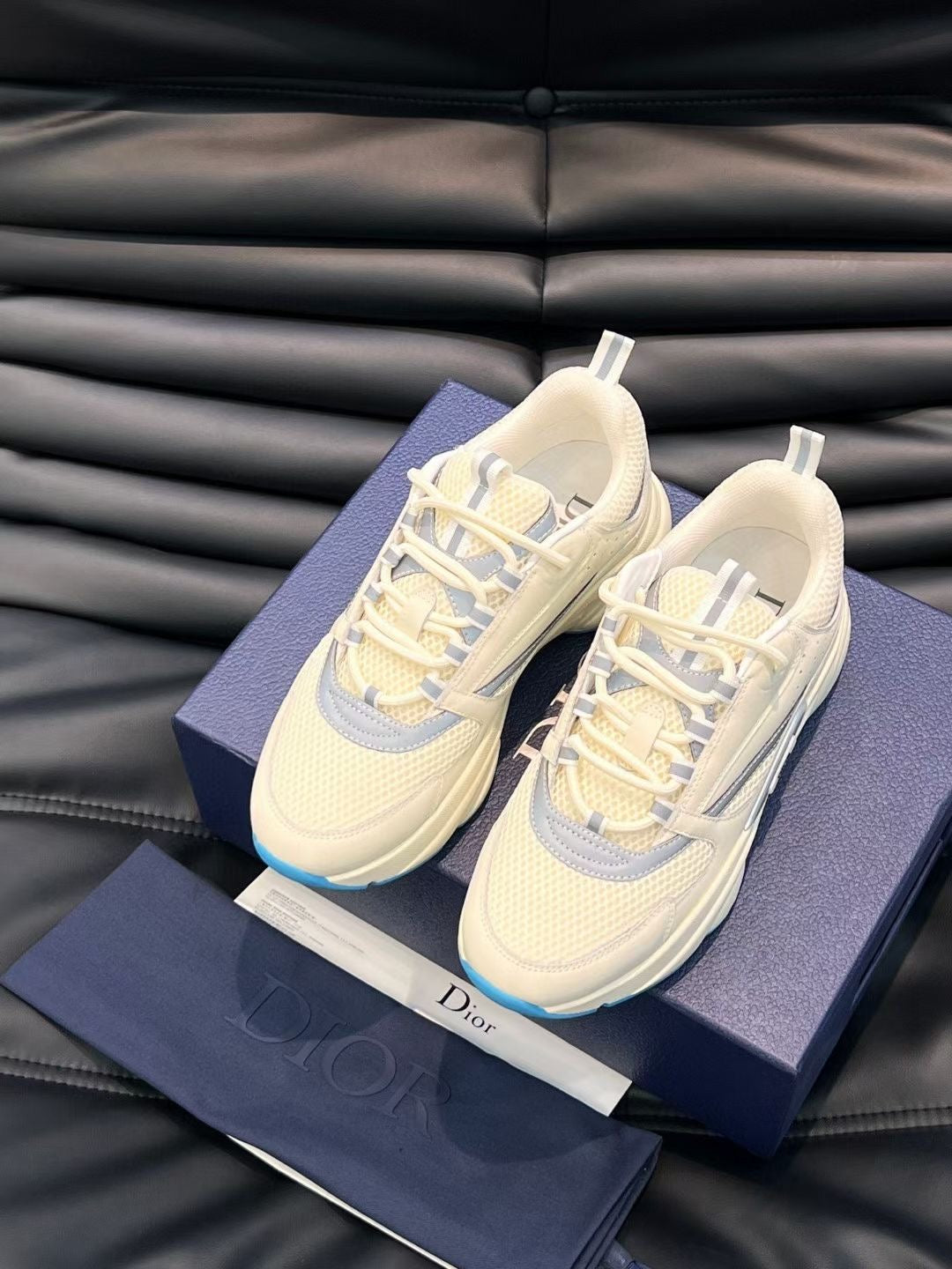 Dior B22