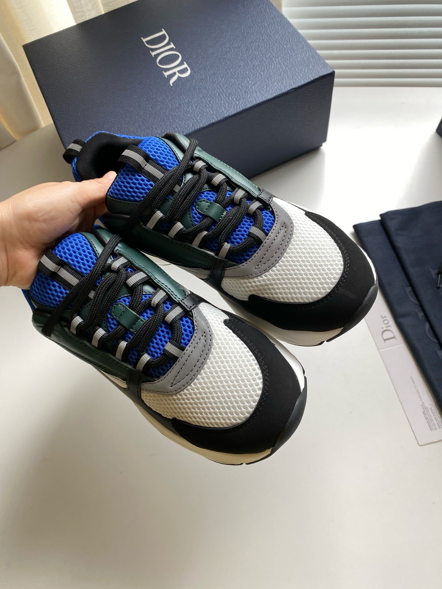 Dior B22