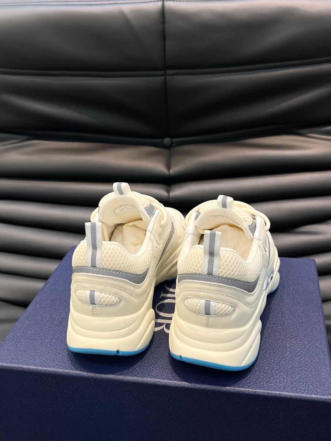 Dior B22