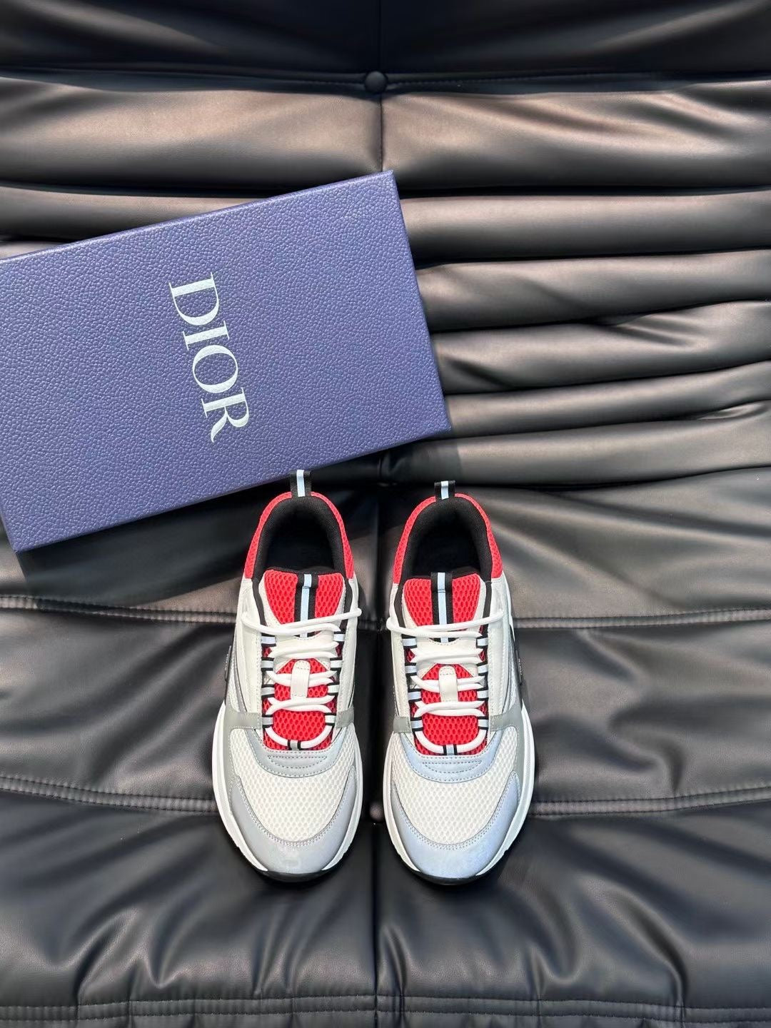Dior B22