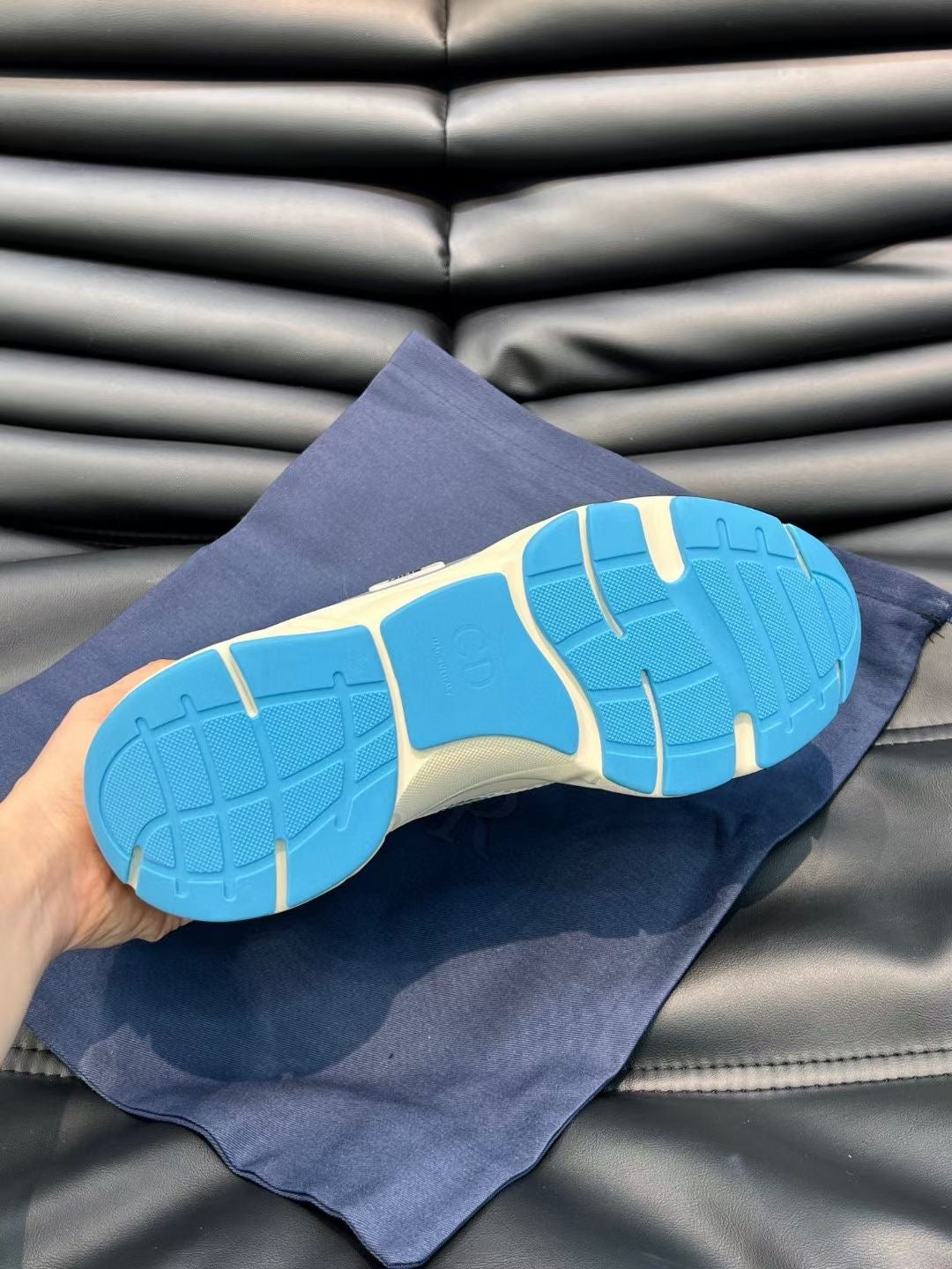 Dior B22
