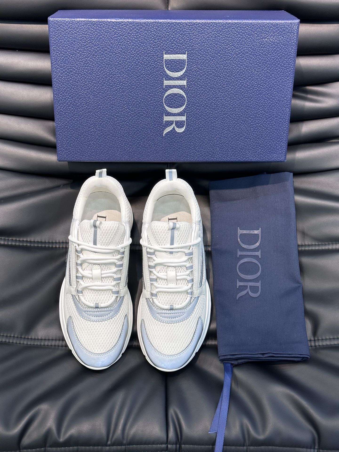 Dior B22