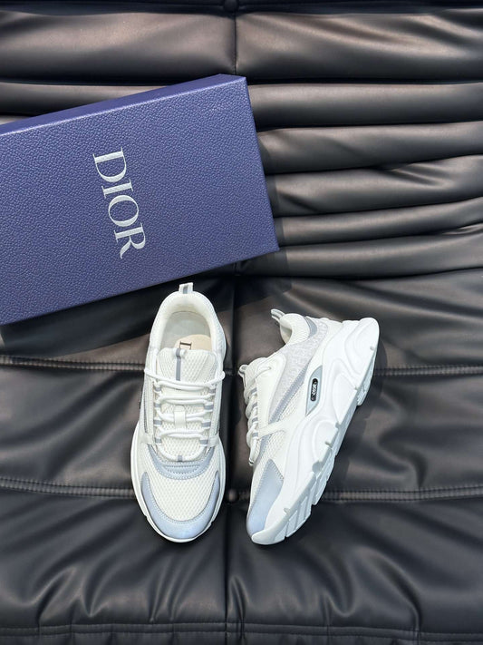 Dior B22