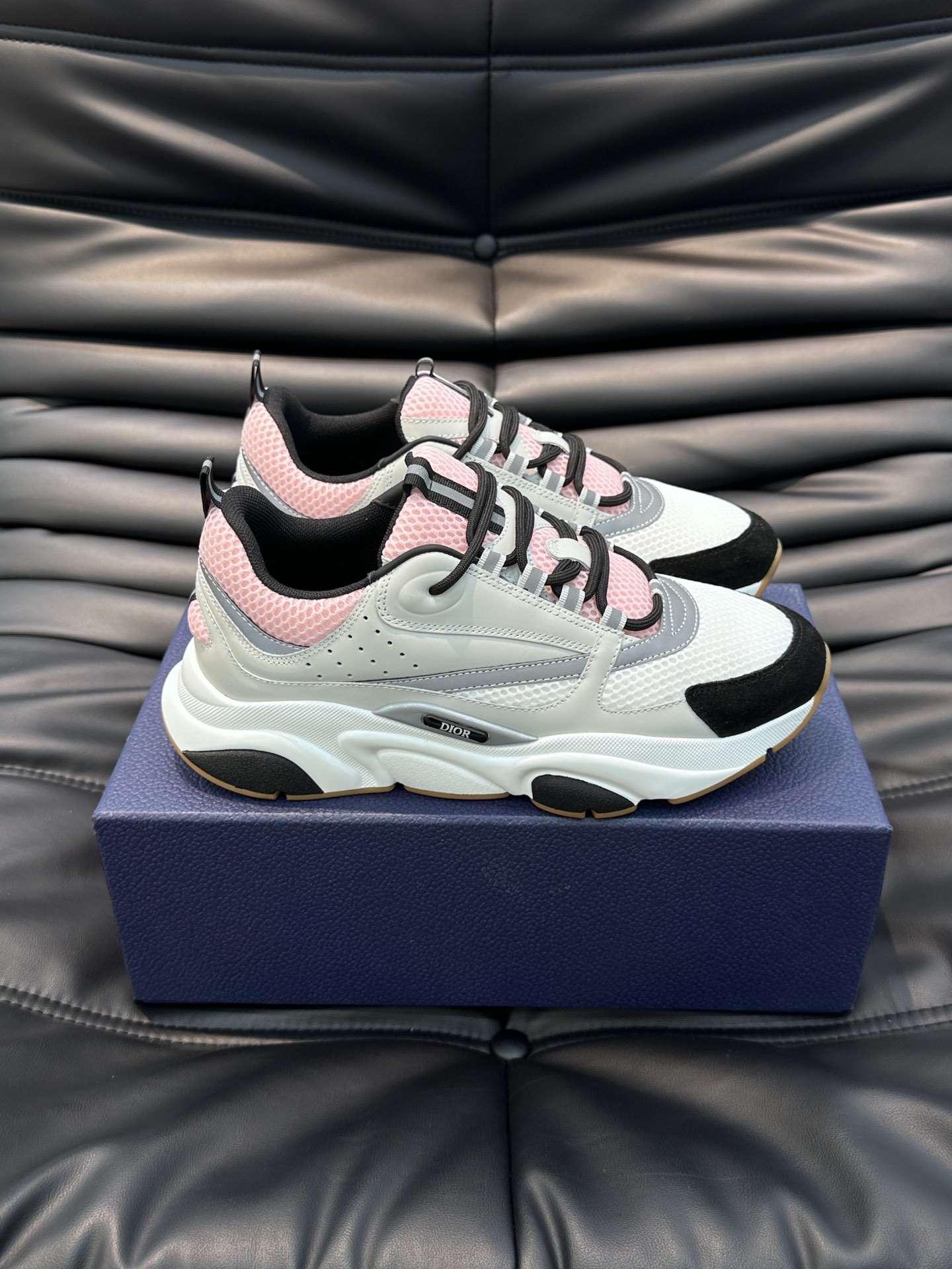 Dior B22
