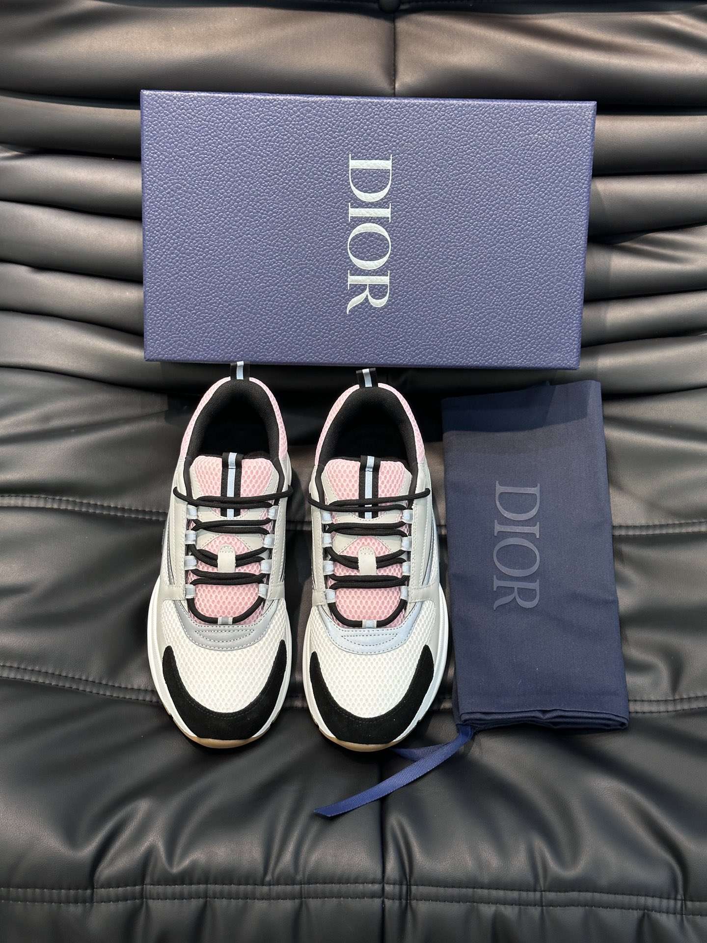 Dior B22