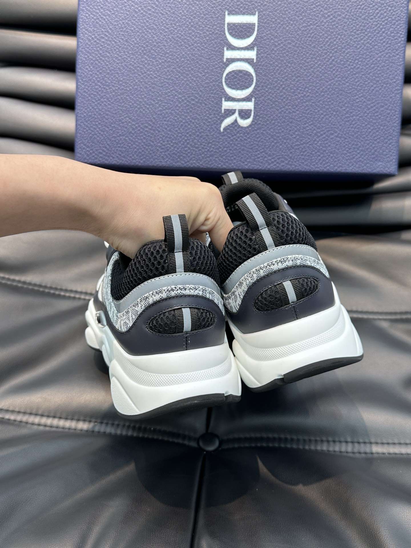 Dior B22