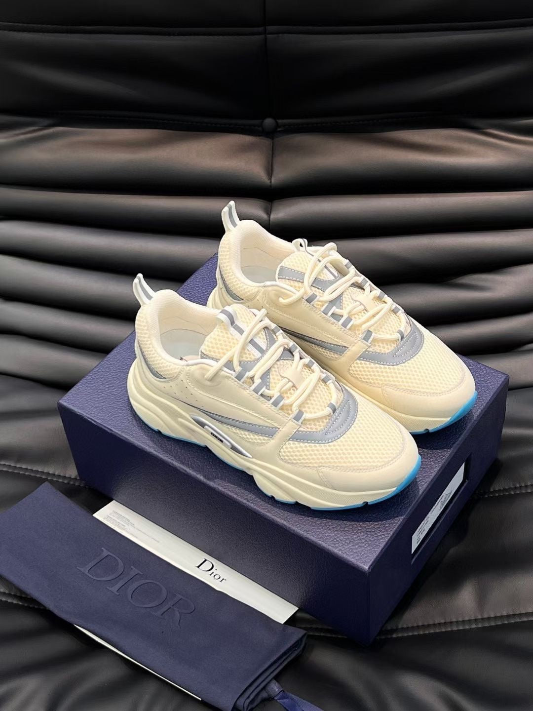 Dior B22
