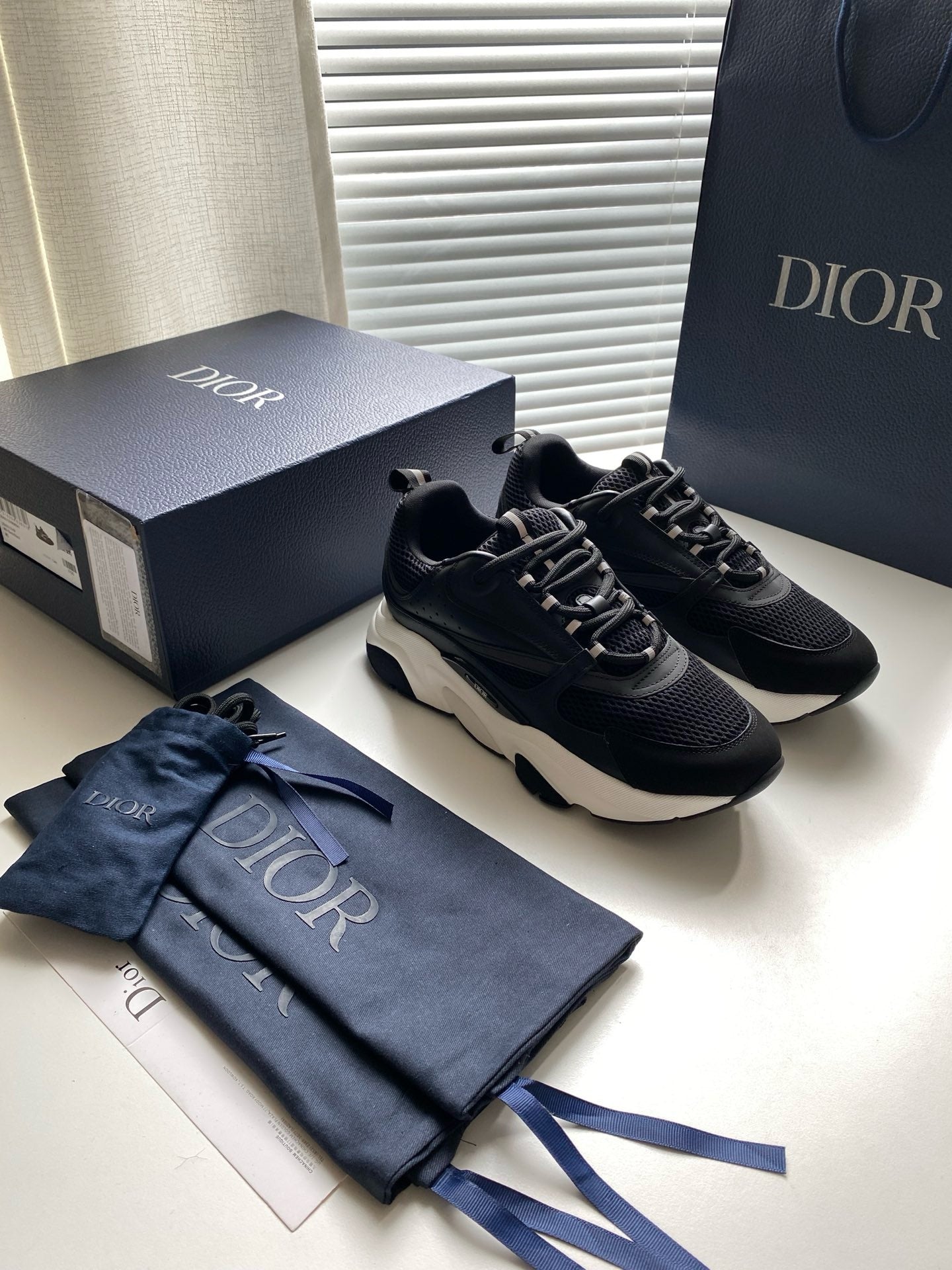 Dior B22