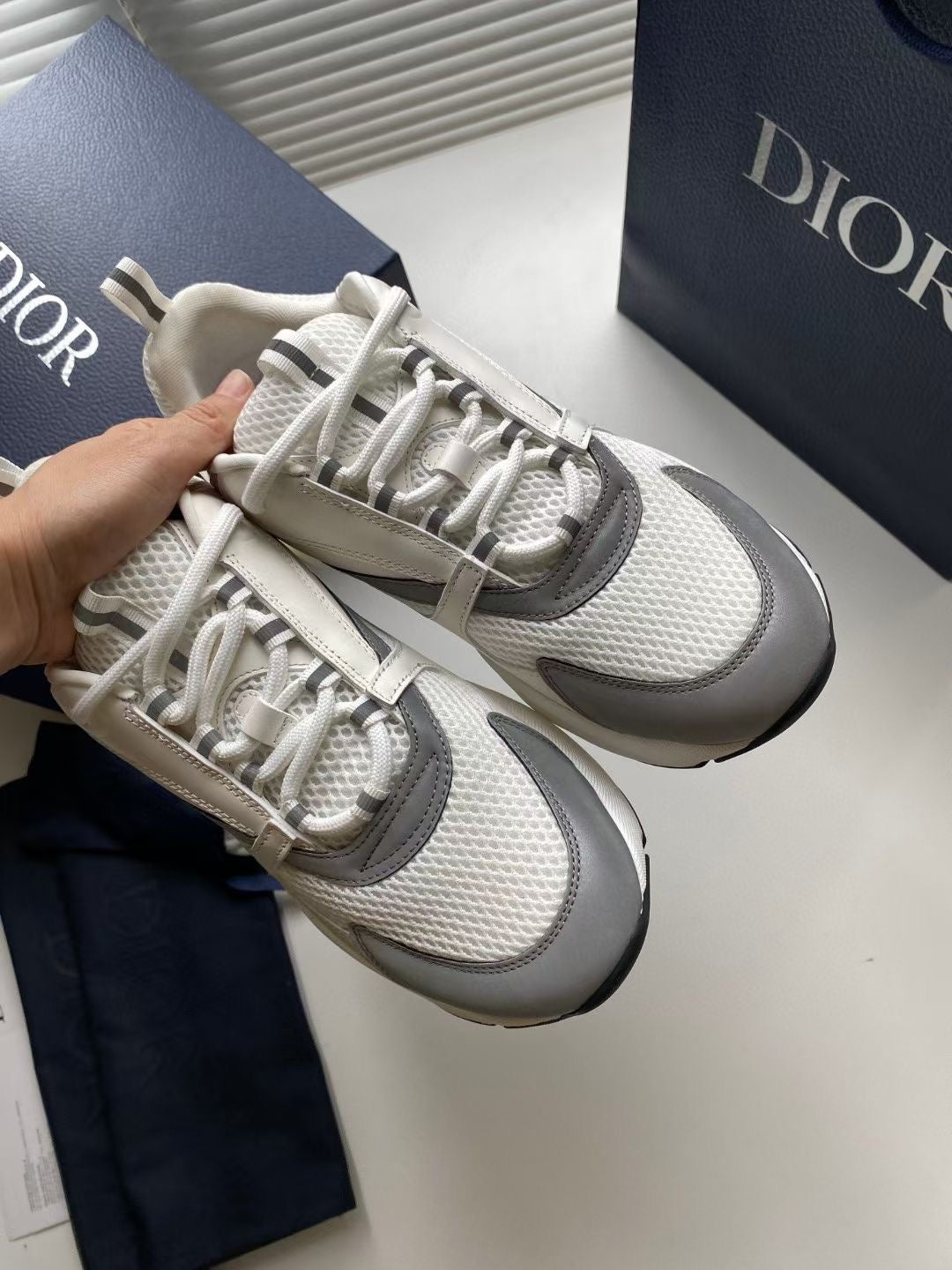 Dior B22