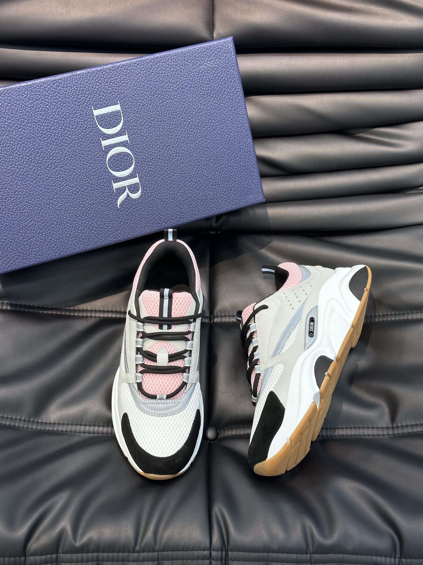 Dior B22