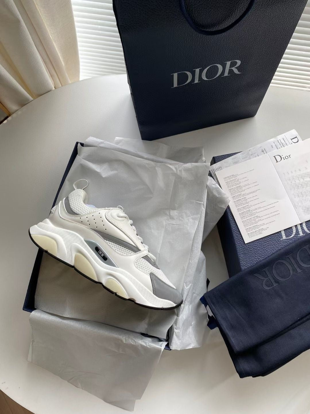 Dior B22