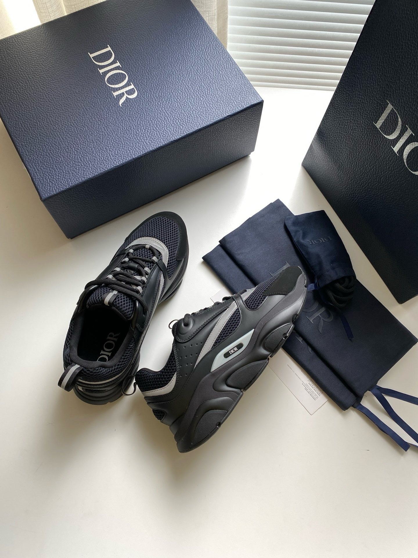 Dior B22