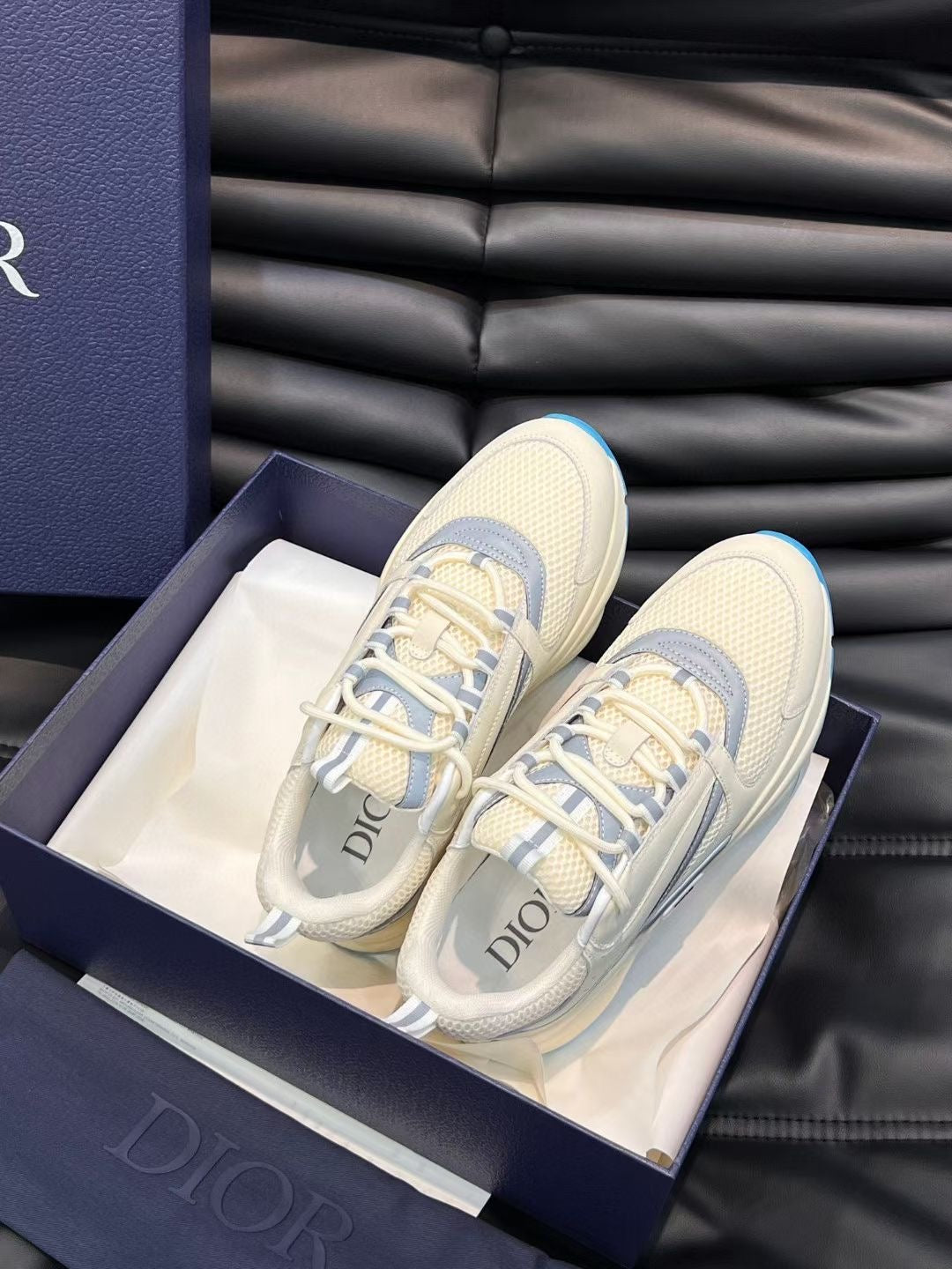 Dior B22